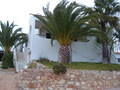 AA_DSCF0716.JPG