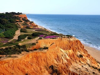 Praia falesia.