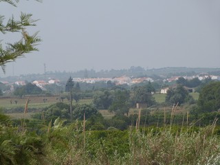 Vista Campo