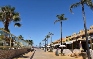 Passeios