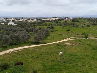 Vista varanda