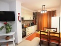 Apartamento T1 - Arrendamento para Férias - Praia da Rocha - Portimão, Algarve