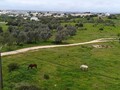 Vista varanda